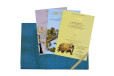 Elephant and Tree Theme Wedding Card Design GC 1052